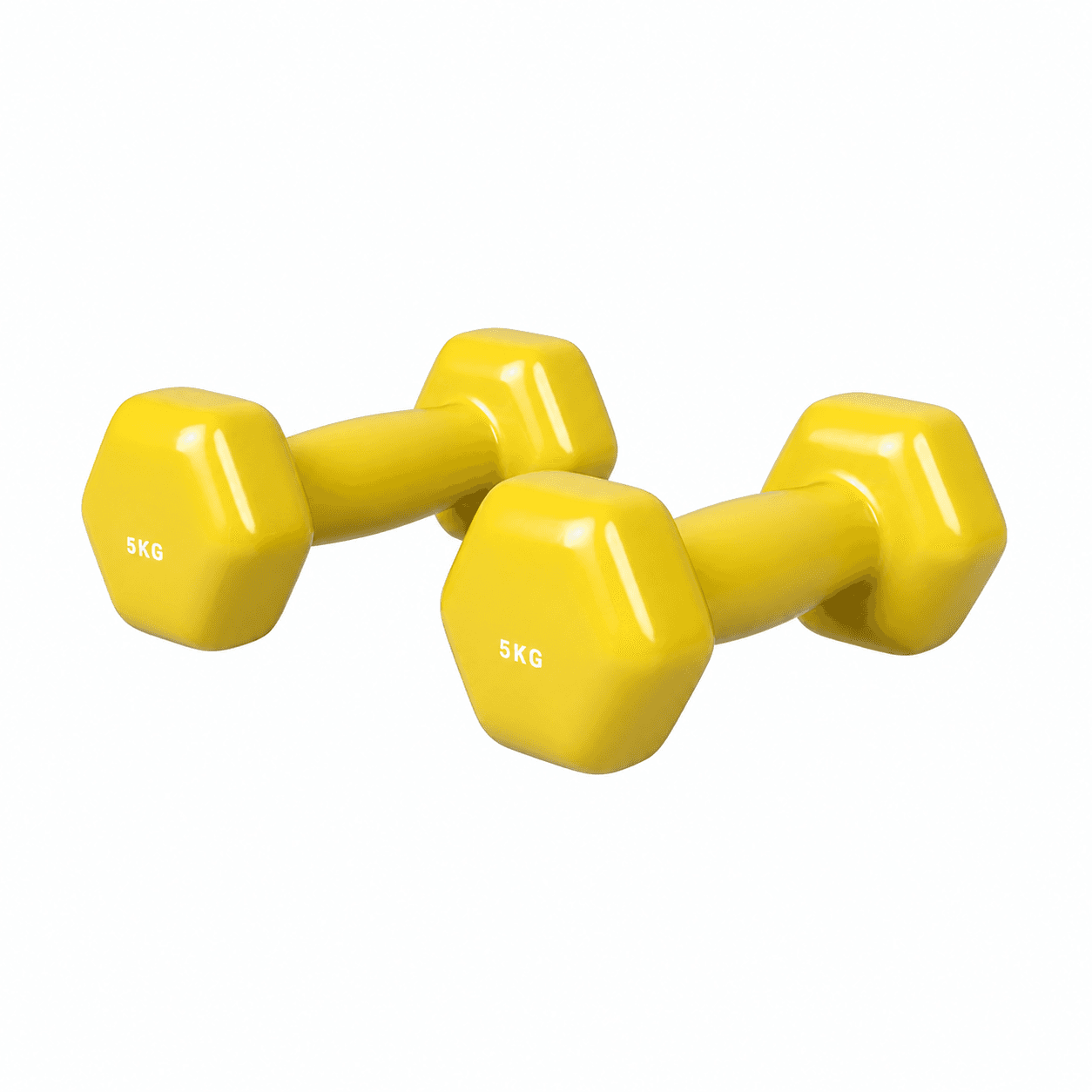 Vinyl Dumbbell